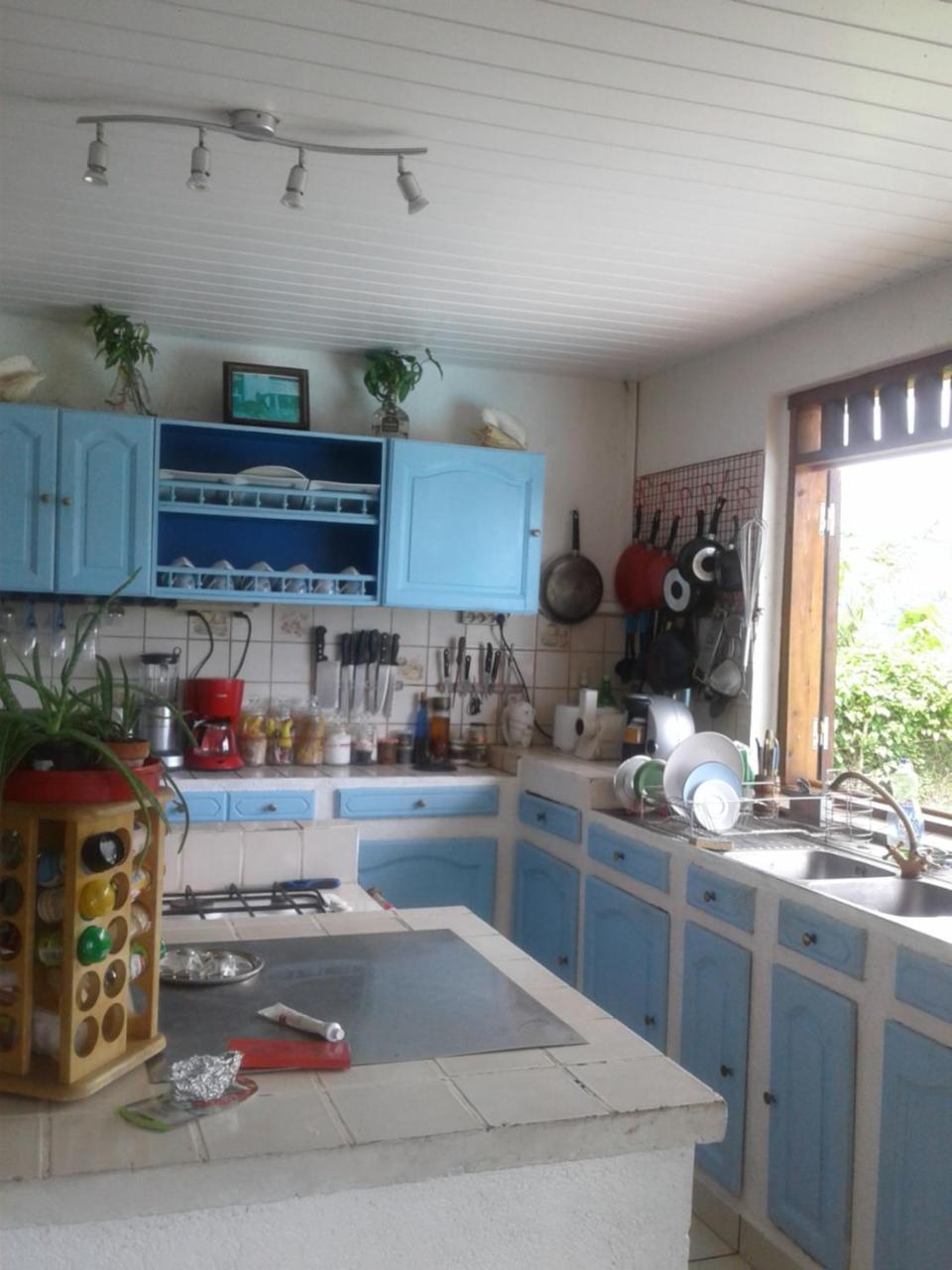 Villa Vaiana Eurl Vaiana Faratea Paopao エクステリア 写真